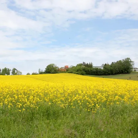 Terrasse, Gratis Nutzung Vom Ahoi Erlebnisbad Und Sauna In Sellin - Meeresblick 32 Apartment *