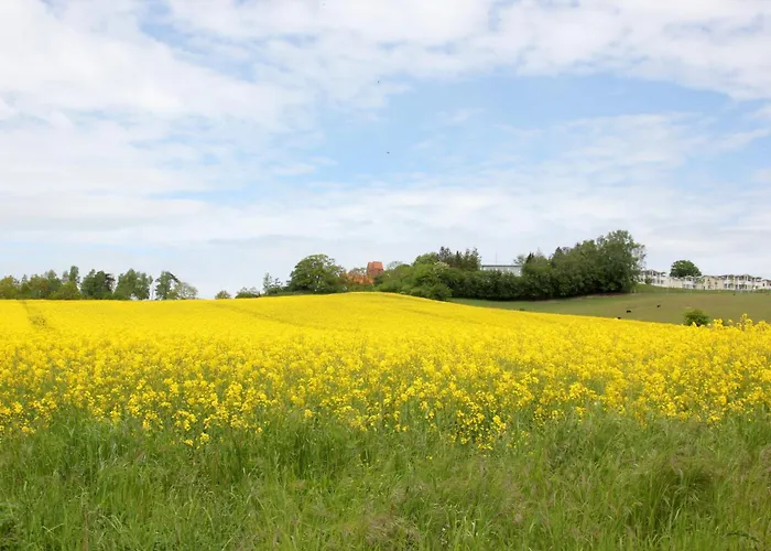 Meeresblickresidenzen Ferienwohnung Nr 32 Mit Sauna- Und Schwimmbadnutzung Im Ahoi Sellin Apartmán *